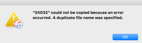itunes duplicate file error