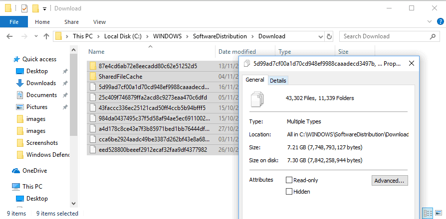 windows update folders when it come to c drive