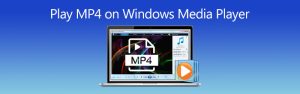 Read more about the article Problemen Compleet Met Easy Way Om MP4-bestanden Af ​​te Spelen Via Windows Media Player 12