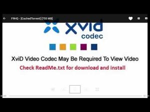 Read more about the article Easy Way To Fix Torrent Xvid Codec 1.1.3