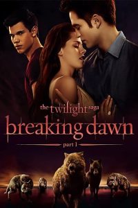 Read more about the article Hur Man Behagligt Fixar Dawn Breaking Dawn-codec