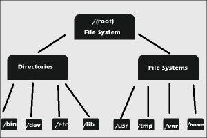 Read more about the article Solution For The File System Used In Windows 8?