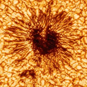 Read more about the article Steps To Get Rid Of Sunspot Problem