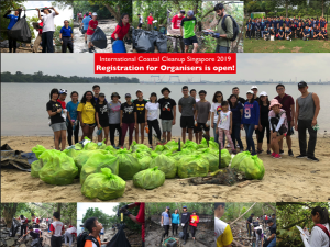 Read more about the article Решения для уборки между побережьями Сингапура