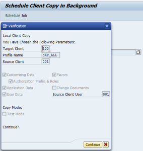 Read more about the article How To Troubleshoot SAP Client Local Copy Issues