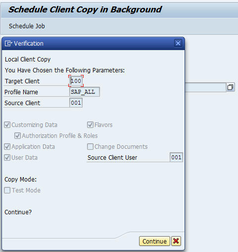 You are currently viewing How To Troubleshoot SAP Client Local Copy Issues