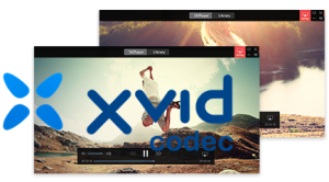 Read more about the article Решения по установке кодека Xvid для Mac