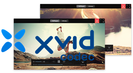 You are currently viewing Решения по установке кодека Xvid для Mac